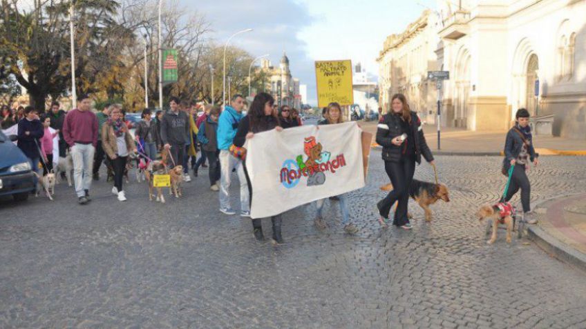 Mascotandil "desilusionado" por la promesa incumplida del Municipio en torno a las deudas con veterinarios