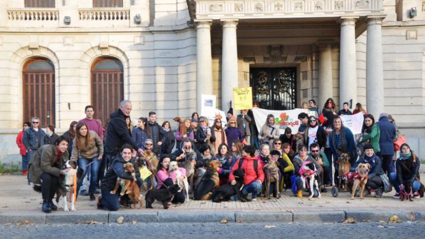 El Municipio aclaró que en los próximos días estará el subsidio para Mascotandil
