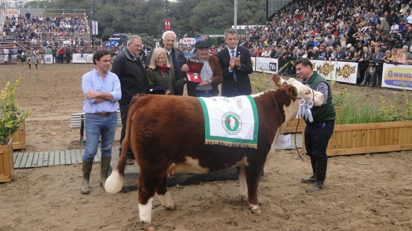 Importantes premios para Cabañas tandilenses