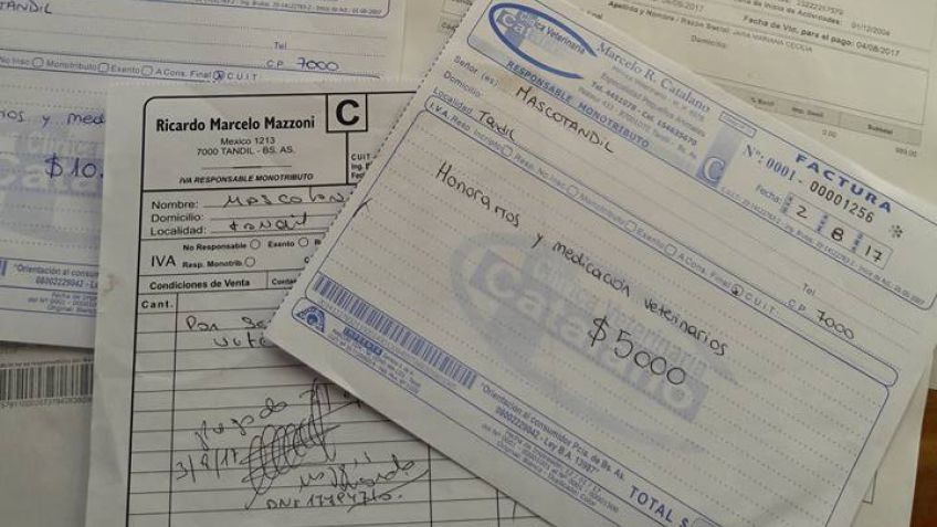 Mascotandil: "Las deudas se deben a que tenemos más de 50 perros rescatados de la calle"