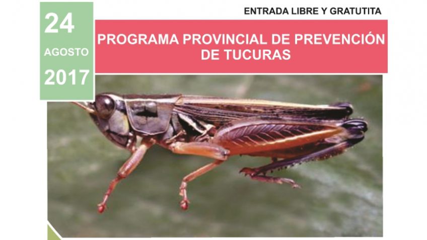Este jueves se realizará una jornada regional de tucura