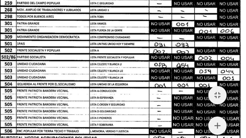 DAlessandro también detectó irregularidades en el recuento de votos