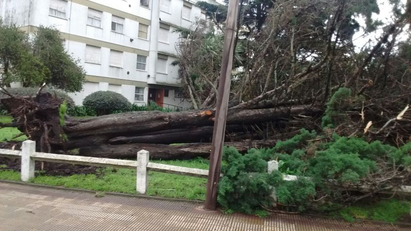 El temporal va dejando distintas complicaciones