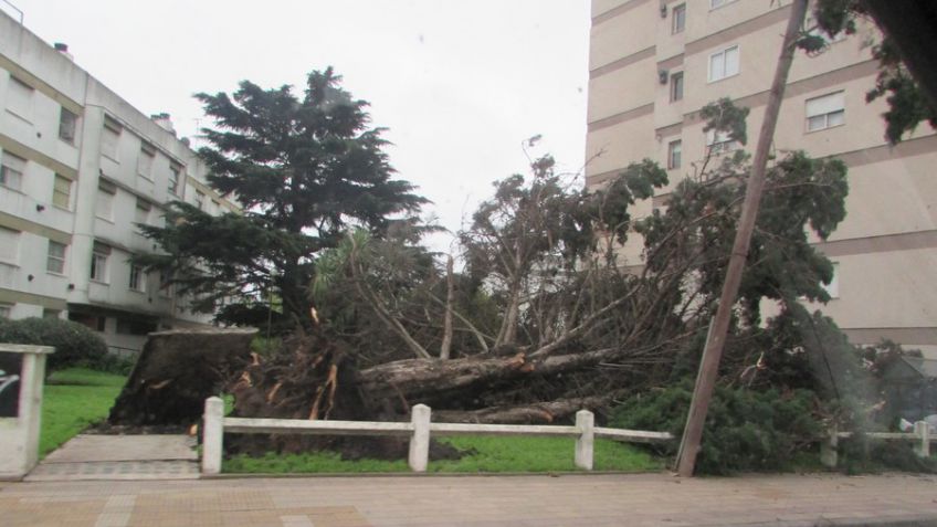 El temporal va dejando distintas complicaciones