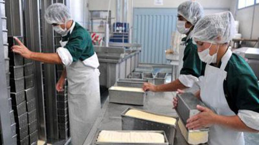Advierten por altos costos y bajos niveles de productividad en las pymes lecheras