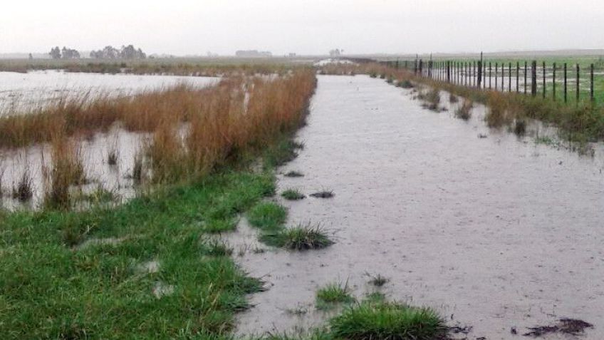 Pese a las inundaciones, la producción sale de los campos