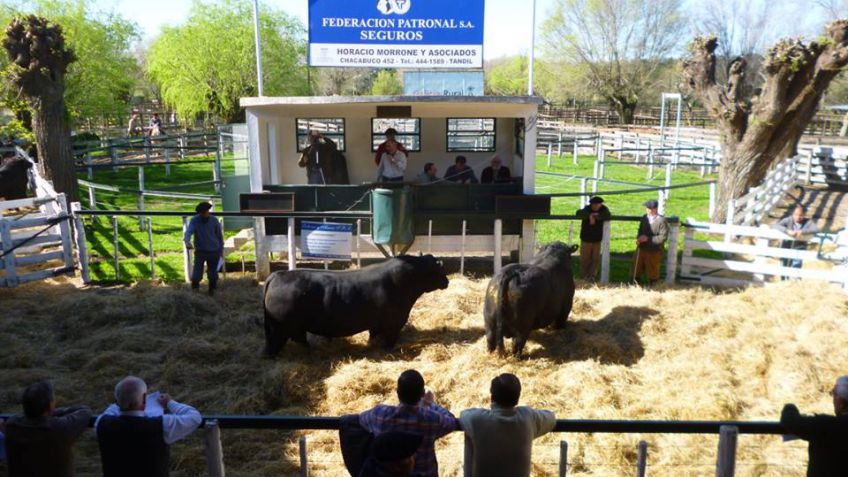 Extraordinario Remate de Cabaña Los Belchas