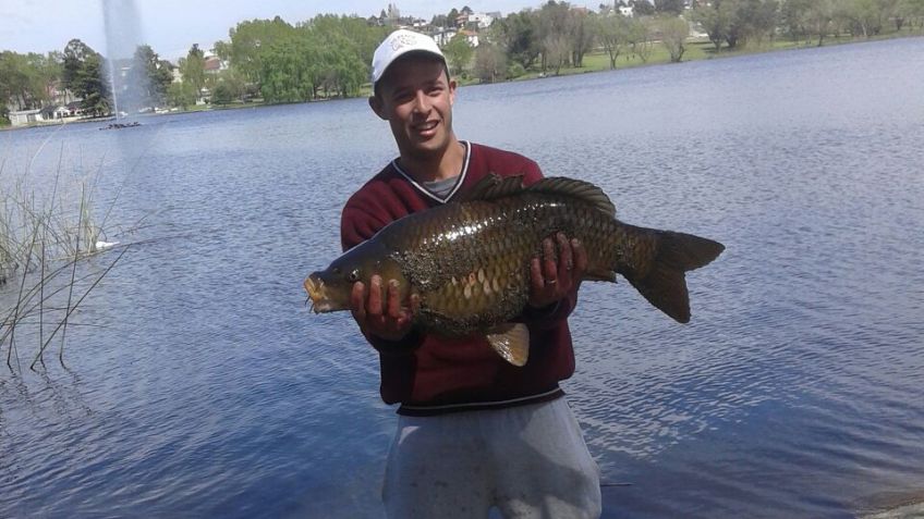 Súper carpa en el Lago