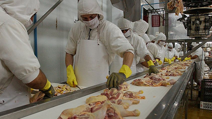 Avícolas dicen que se complicará la exportación de pollo a Canadá: "No dan los números"