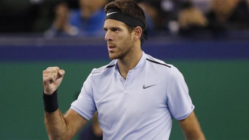 Del Potro se metió en la final y defenderá su título en Estocolmo