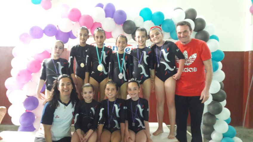 Muy buenos resultados para Ferro en el Torneo Provincial de gimnasia artística Nivel E