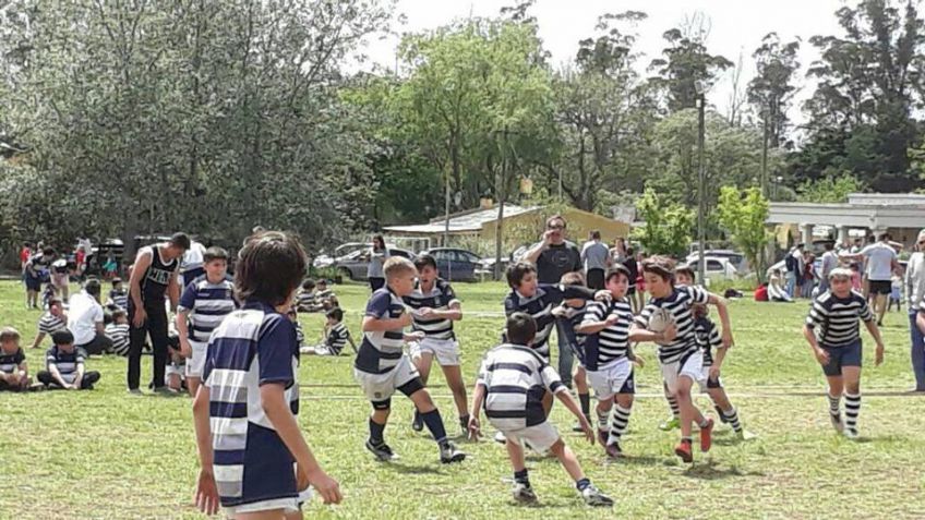 La fiesta deportiva de las divisiones infantiles se trasladó a Los 50