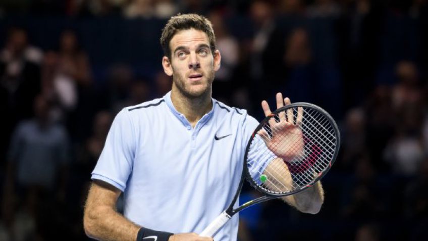 Sin problemas, Del Potro avanzó en París 