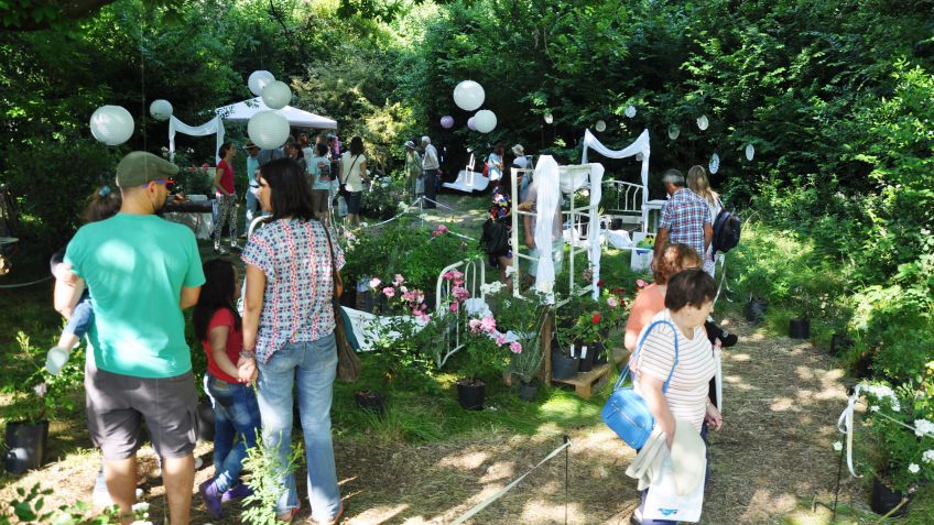 Se viene una nueva edición de Expojardín