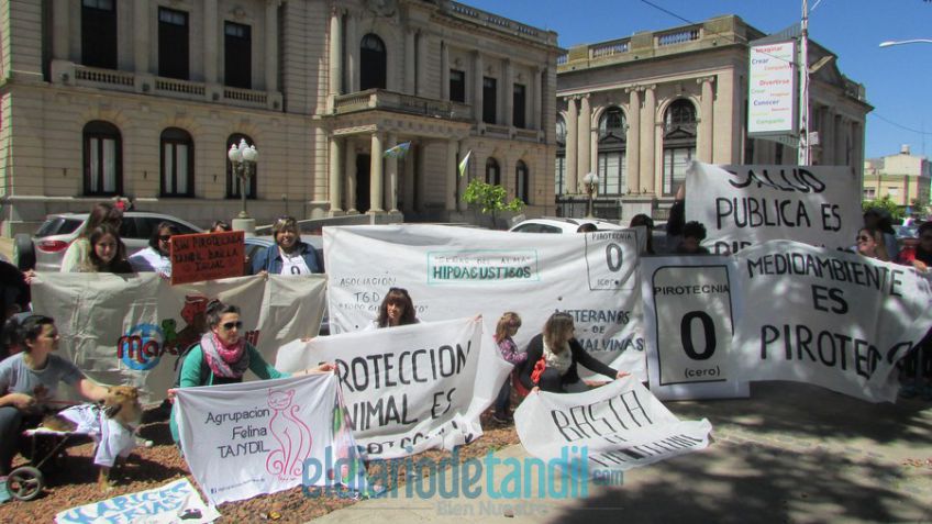 "Pretendemos que la gente entienda que no hay un uso responsable de la pirotecnia, hace mal"