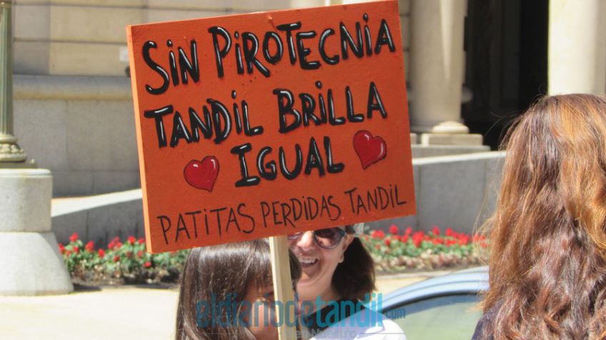 "Pretendemos que la gente entienda que no hay un uso responsable de la pirotecnia, hace mal"