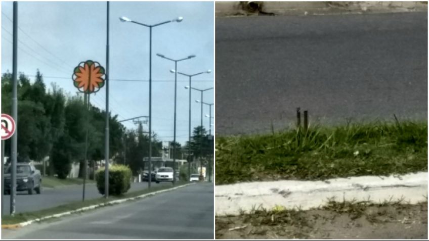 Se fueron las flores, quedaron las "espinas"