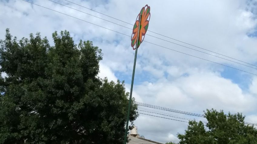 Se fueron las flores, quedaron las "espinas"