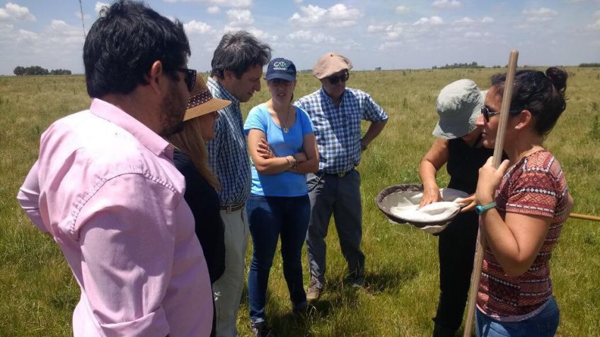 Monitoreos para prevenir la tucura en la Provincia de Buenos Aires
