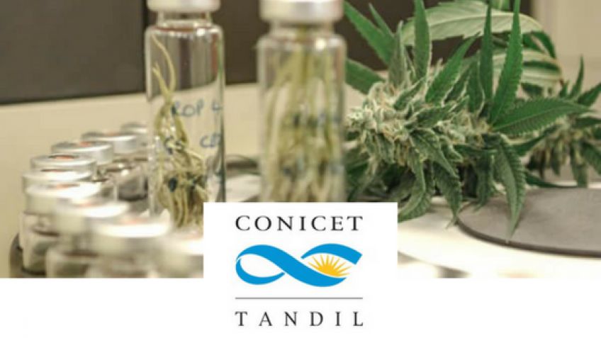 Jornada: "Cannabis: la ciencia responde sobre su potencial terapéutico"