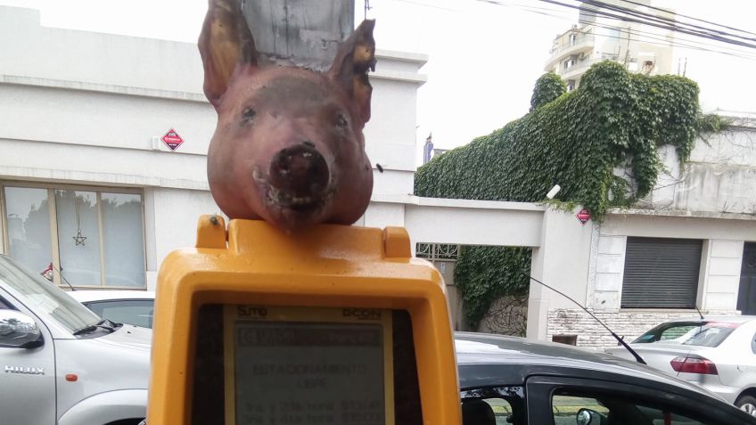 El parquímetro con cabeza de chancho