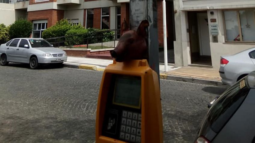 El parquímetro con cabeza de chancho