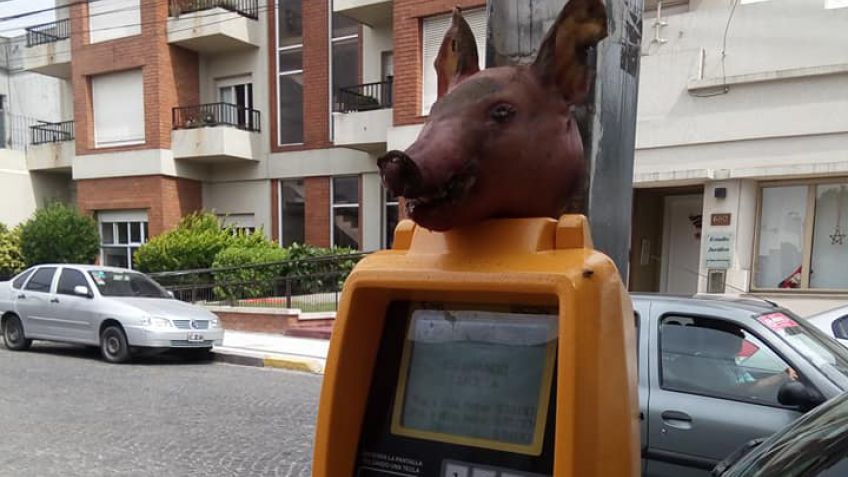 El parquímetro con cabeza de chancho