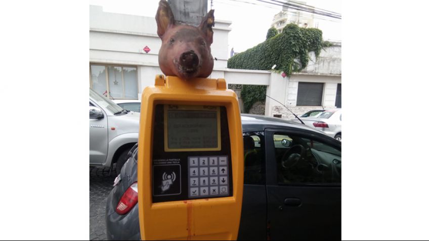 El parquímetro con cabeza de chancho