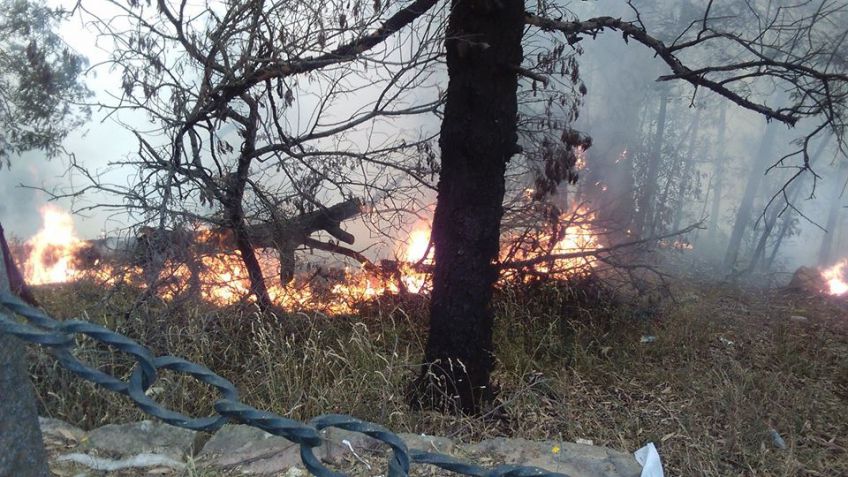 Tras incendios en el parque, el Tandil Brilla volvió a quedar bajo la lupa