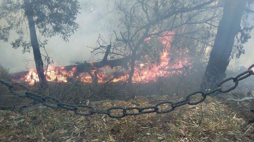 Tras incendios en el parque, el Tandil Brilla volvió a quedar bajo la lupa
