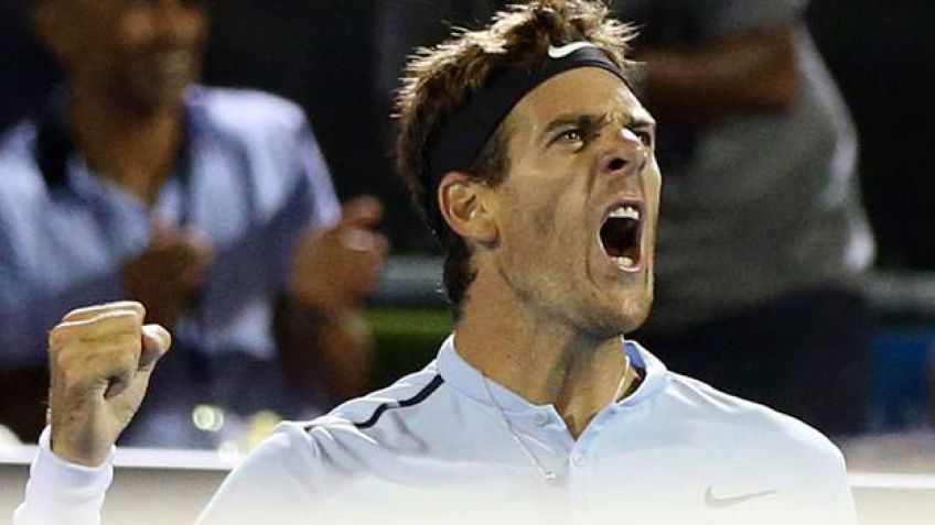 Del Potro se metió en la final de Auckland
