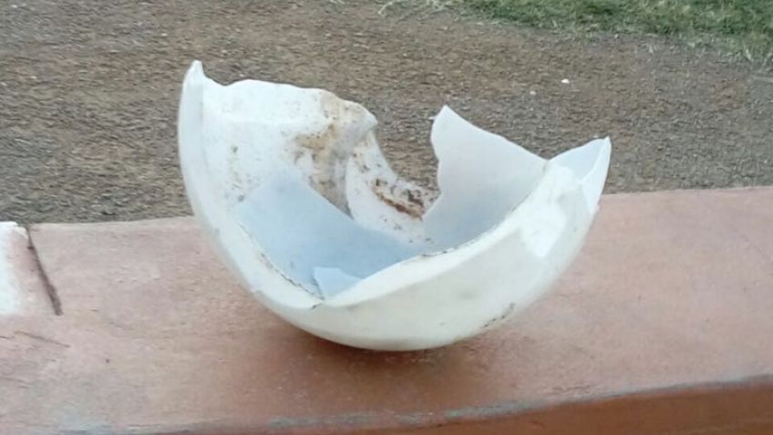 Vándalos destrozaron luminaria de la Plaza de los Pájaros