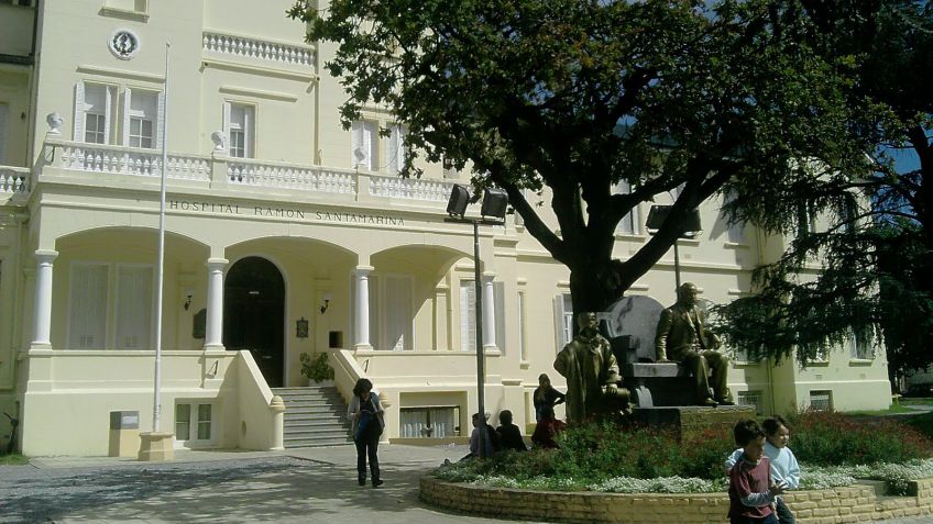 Murciélagos, palomas y cucarachas: todos en una sala del hospital