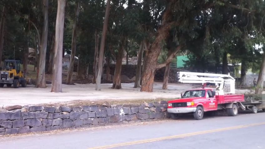 Integrar pide explicaciones al Municipio tras las intervenciones en el Parque Independencia