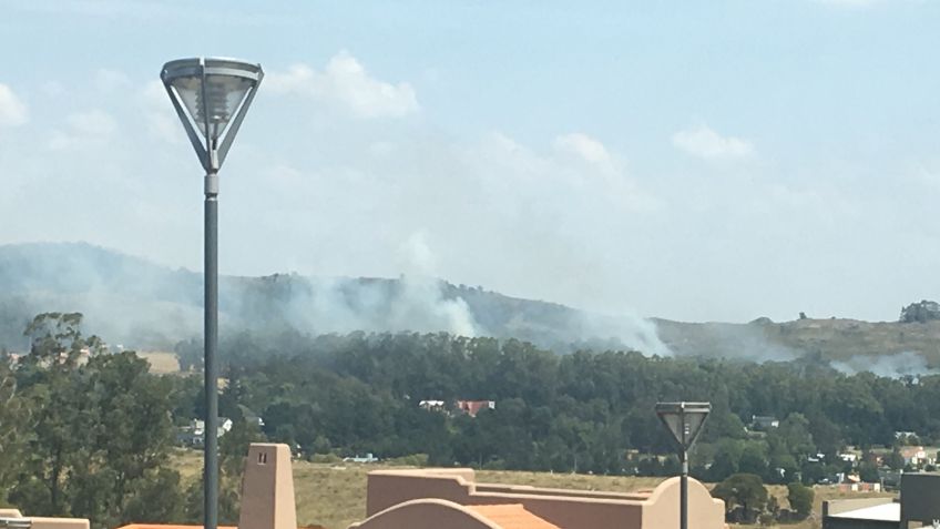 Bomberos trabajaron en incendio por zona de Los Pioneros