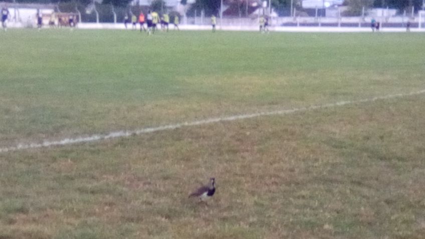 En un partido complicado Gimnasia y Sportivo Piazza no se sacaron ventaja 
