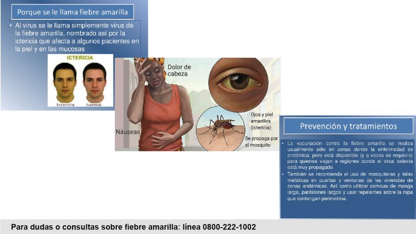 Fiebre amarilla