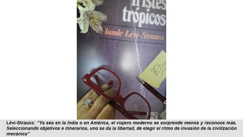 Fiebre amarilla
