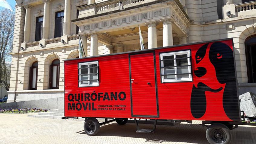 El Municipio continúa con el programa de castración y vacunación por los barrios