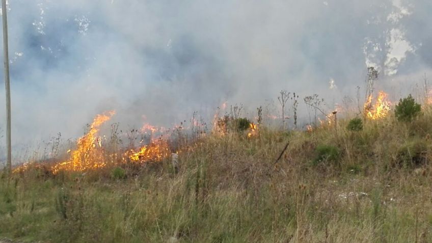 Bomberos controlaron un nuevo incendio 