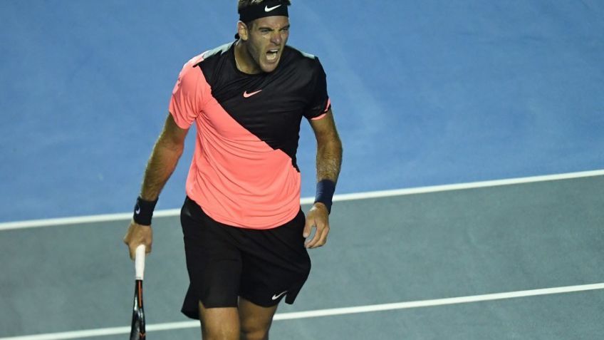 Del Potro sacó a Ferrer y espera por Thiem