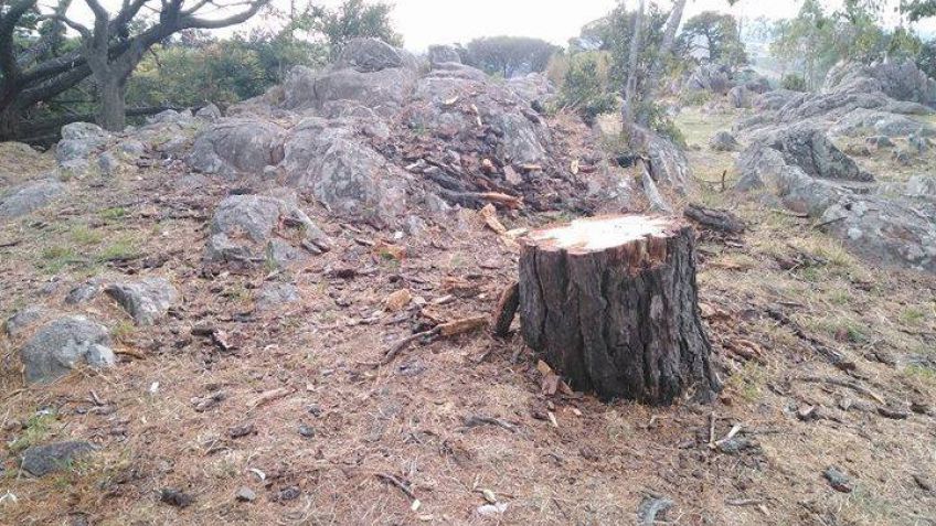 Ambientalistas le contestaron a funcionarios locales por las intervenciones en el Parque