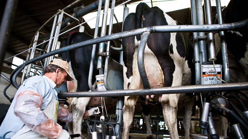 Financiamiento, competitividad y rentabilidad: los temas que debatieron el sector lechero y el Presidente