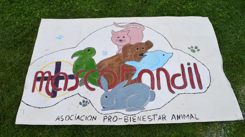 "El Municipio debería ayudarnos porque estamos haciendo el trabajo que le corresponde"