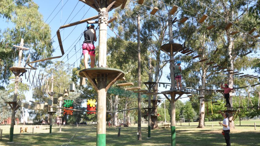 Treeland: Aventuras en un lugar único