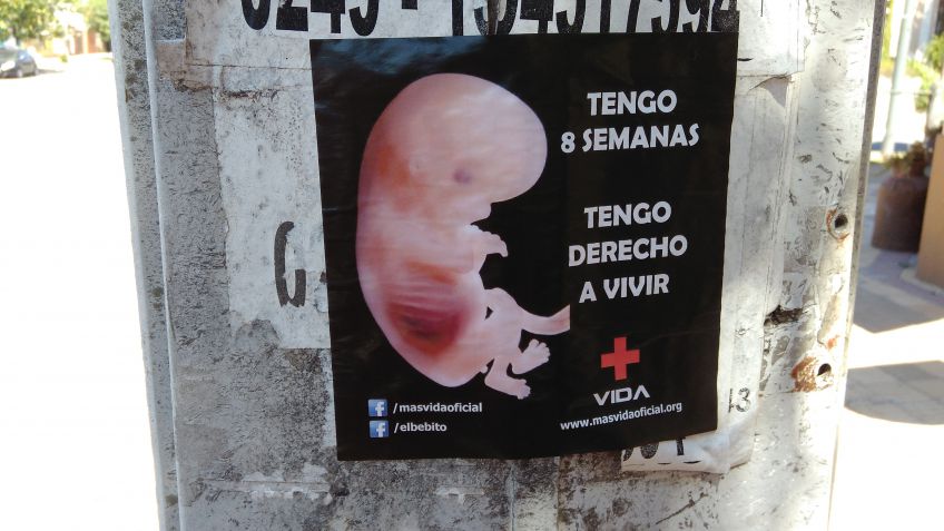 Fetos