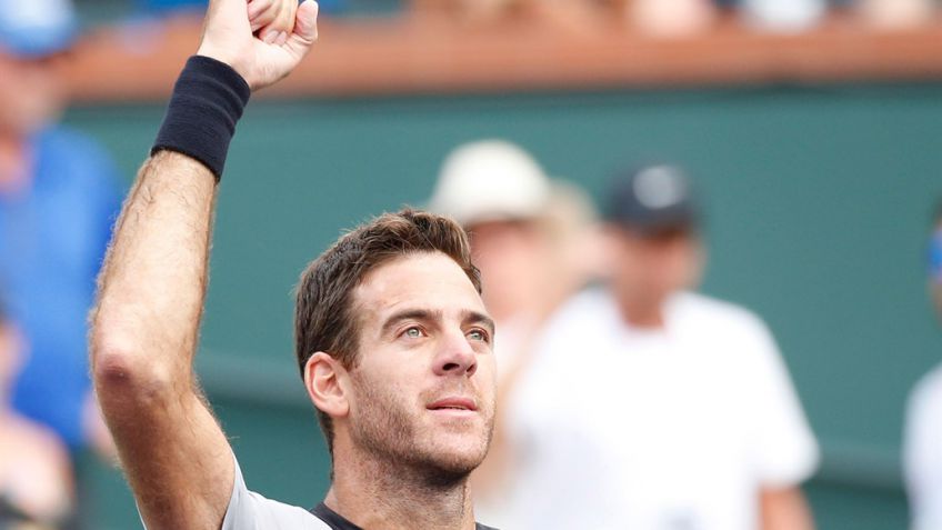 Delpo "paseó" a Raonic y definirá el título con Federer