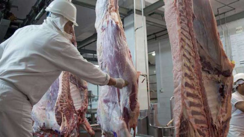 SIO carnes: ¿Cómo funciona el nuevo sistema de información del mercado de carne bovina?