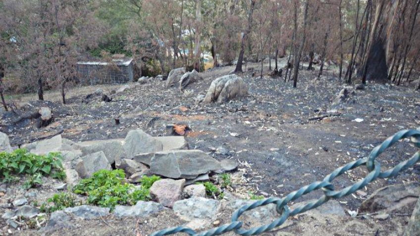 Informe de Bomberos marca que el Parque Independencia es de los puntos más azotados por los incendios