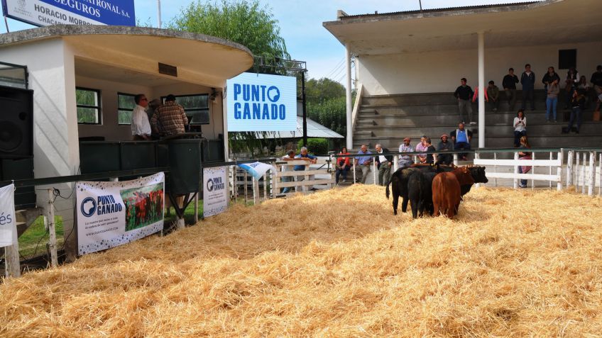 Expotan sigue sábado y domingo